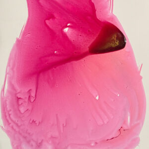 FUCSIA TULIP
