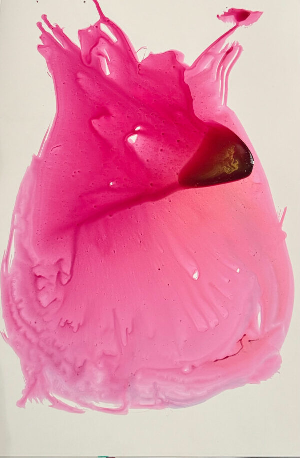 FUCSIA TULIP
