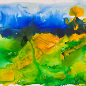 CAMPO EN PRIMAVERA
