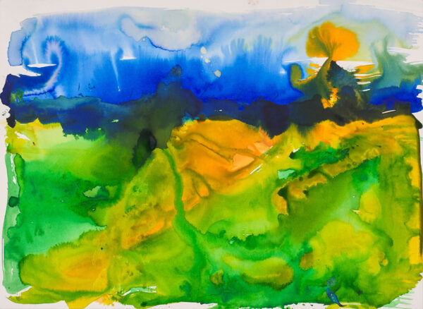 CAMPO EN PRIMAVERA